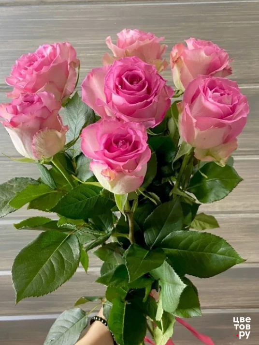7 розовых роз