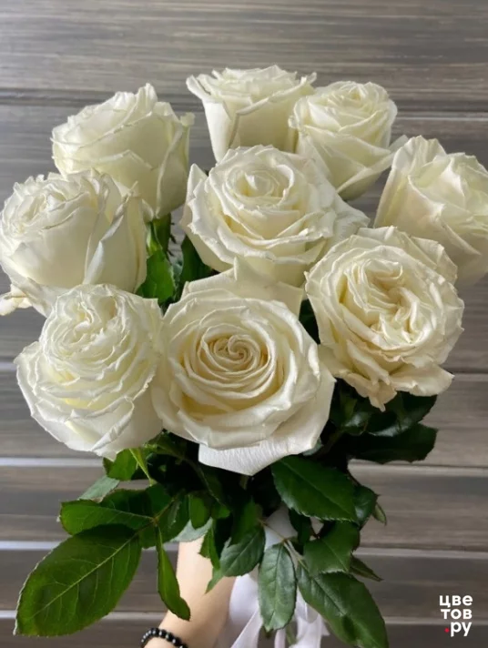 9 белых роз 