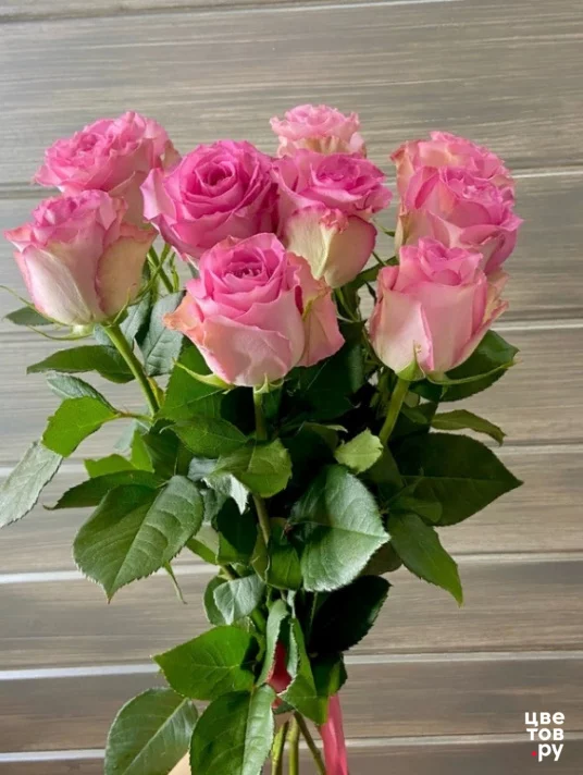 9 розовых роз
